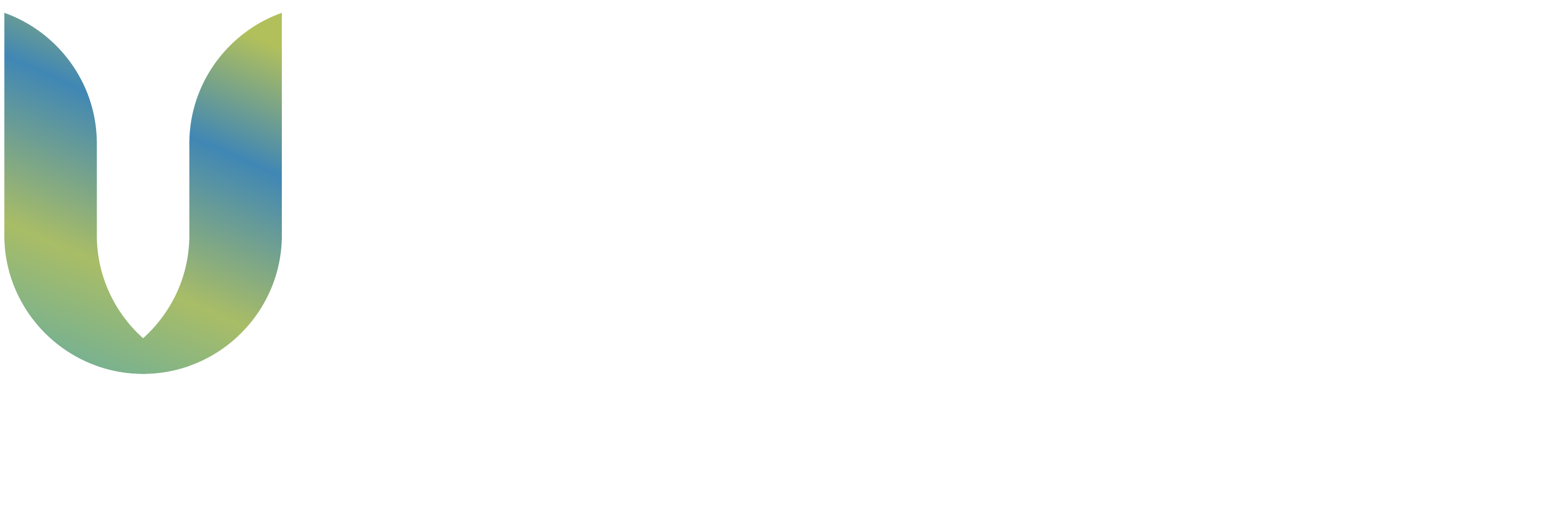 Nexa Web Studios Llc